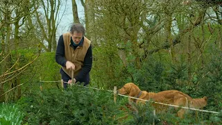 Gardeners' World 2024🍀Episode 5