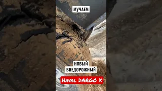 Тест ВНЕДОРОЖНЫЙ Haval Dargo X 2023