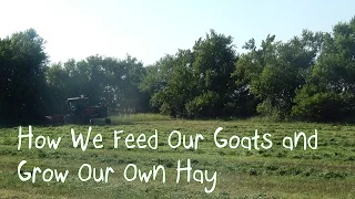 How We Feed Our Goats and Grow Our Own Hay