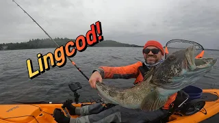 Rainy Day Wreck Fishing for LINGCOD