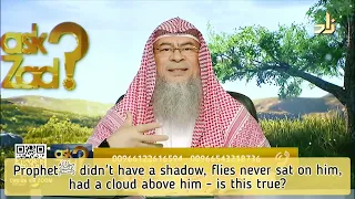Prophet ﷺ‎ didn't have shadow, flies never sat on him, had a cloud above him, true? assim al hakeem