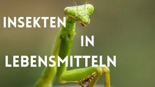 Insekten in Lebensmitteln .....