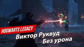 Hogwarts Legacy - Виктор Руквуд