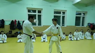 Изучение техники "Ирими наге" Айкидо | 合気道 | Aikido