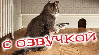 ПРИКОЛЫ С КОТАМИ! Самая Смешная ОЗВУЧКА Животных! До Слёз!