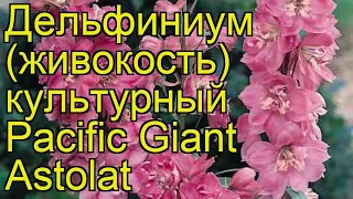 Дельфиниум культурный Pacific Giant Astolat. Краткий обзор, описание характеристик