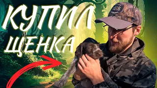 КУПИЛ ЩЕНКА ДРАТХААРА. Как я выбрал щенка из 7 собак?🐕‍🦺 Проверяем их активность на ГЛУХАРЕ😮