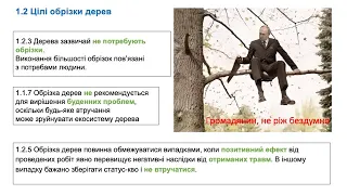 ОБГОВОРЕННЯ ПЕРЕКЛАДУ ЄВРОПЕЙСЬКИХ СТАНДАРТІВ ОБРІЗКИ ДЕРЕВ