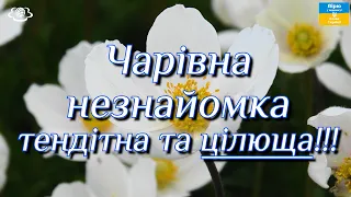 Чарівна незнайомка тендітна та цілюща!!!🌺🌺🌺