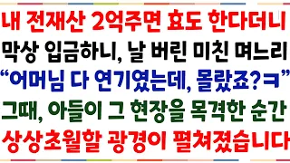 (반전신청사연)전재산 2억 빌려주면 효도 한다더니, 막상 빌려주니 날 버린 며느리"어머님ㅋ 다 연기였는데 몰랐죠?" 아들이 현장을 목격한 순간..[신청사연][사이다썰][사연라디오]