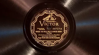 Where the Wild, Wild Flowers Grow • Roger Wolfe Kahn and His Orchestra (Victrola Credenza)