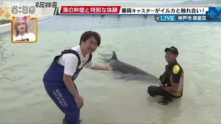 まもなくオープン！ 神戸須磨シーワールドから中継🐬シャチにイルカ！