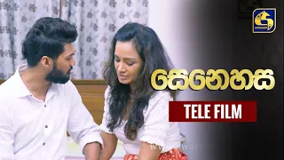 සෙනෙහස || 2023-02-04