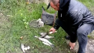 Жизнь и Рыбалка в Грузии Тбилиси!!!