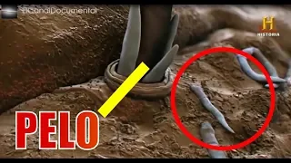 Documental - INVISIBLE (40 cosas que el ojo no ve) History Channel HD