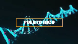 Puerto Rico - KALIFARNIYA ( Remix )