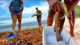 Just Me, You And The Ocean | Remote Island Camping & Spearfish For Food