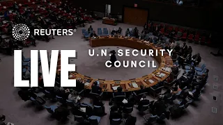 LIVE: UN Security Council holds a public meeting on Ukraine