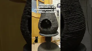 Включите этот звук своему коту, кошке. И смотри на реакцию … / play this sound for your cat