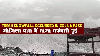 Fresh snowfall occurred in Zojila Pass