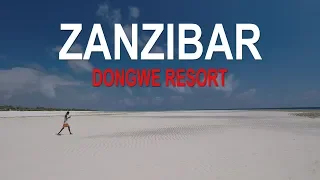 ZANZIBAR