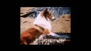 Lassie - Episode #508 - "Lassie and the Water Bottle" - Season 16, Ep. 5 - 10/26/1969