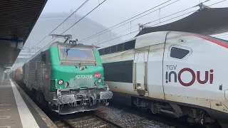 Trains bloqués à cause du brouillard givrant en gare de Bordeaux