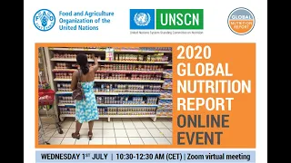 2020 Global Nutrition Report Online Event