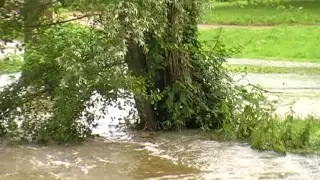 Ferrières-en-Gâtinais, la rivière "après" inondations (3juin16)