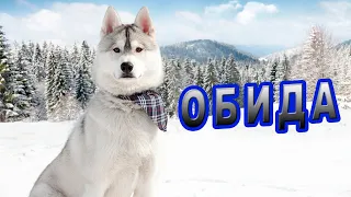 История на охоте!