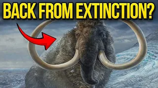 20 Animals that came back from Extinction | Part 2