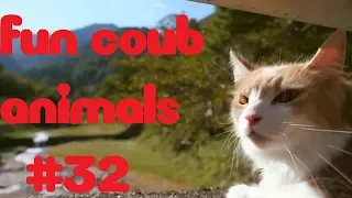 FUN coub animal #32 / видео приколы / coub 2019 / животные / смешные животные / приколы 2019 / cube