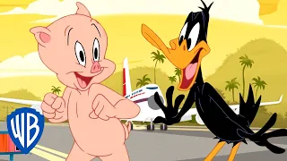 Looney Tunes po polsku 🇵🇱 | Czas na wiosenny wypad! | WB Kids