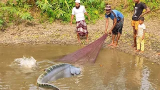 Best Net Fishing Video // Big Fish Catching Men Using by Cast Net in The Beautiful Pond