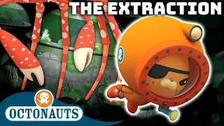 ​@Octonauts - ⚒️ Octopod Extraction ✨ | 50 Mins+ | Cartoons for Kids | Underwater Sea Education