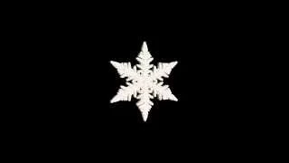 Growth of a snowflake