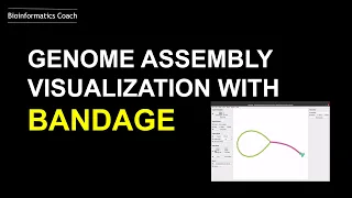 Bandage Linux Install and Usage for Genome Assembly Visualization