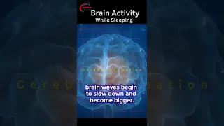 Your brain is active even when you are asleep | #brain #sleep #shorts #medicalshorts #3danimation