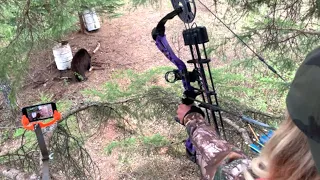 Saskatchewan Spring Black Bear Hunt!