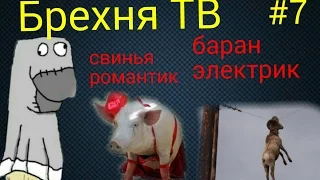 Брехня ТВ 7- носок философ