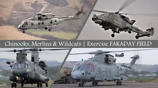 [4K] Chinooks, Merlins & Wildcats | Exercise FARADAY FIELD 2022