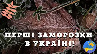 В Україну йде холод з Арктики: синоптик розказав, де будуть заморозки