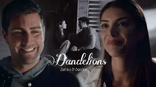 Zehra & Serdar | Dandelions