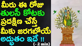 కార్తీక మాసం తులసి ప్రదక్షిణం చేస్తే జరిగేది ఇదే |#తులసిపూజ #tulasi #tulasipooja |26-nov