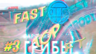 Fast Top:Лучшие породи-cover на песню Тает лед группы Грибов.