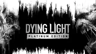 Dying Light - Platinum Edition Gameplay (PC) On GTX 760