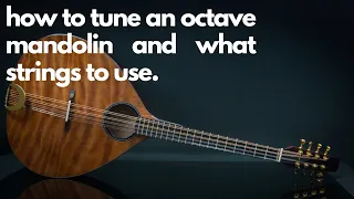 How to tune an octave mandolin and what strings to use.
