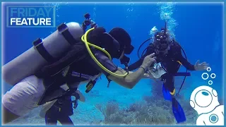 Why Becoming A Dive Master Sucks... (and also why it rules)