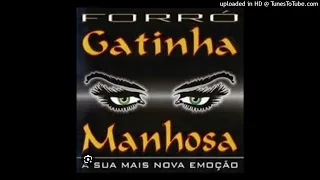 FORROZÃO DAS ANTIGAS - COM GATINHA MANHOSA - 100% ROMÂNTICO - EXCEPCIONAL