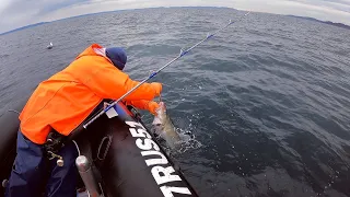 ТРУДОВАЯ РЫБАЛКА В БАРЕНЦЕВОМ МОРЕ / LABOR FISHING IN THE BARENTS SEA